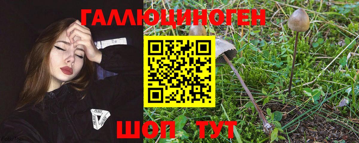 Галлюциногенные грибы GOLDEN TEACHER Тихорецк