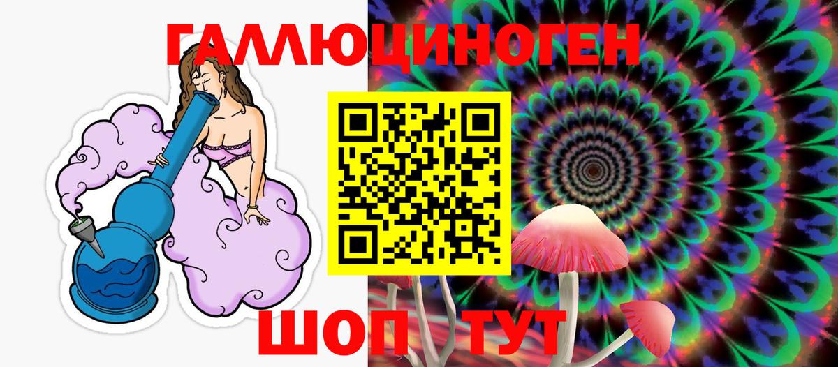 где продают   Галлюциногенные грибы мицелий  Вход с VPN  Тихорецк 